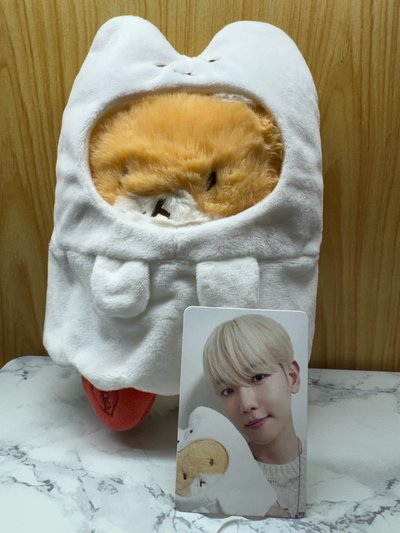 🍞TEOLAGI 👻幽靈20 /🍓S娃 10 /🧲S娃磁鐵娃 /🎒玩偶娃 20 +AR Voice/🧸吊飾娃