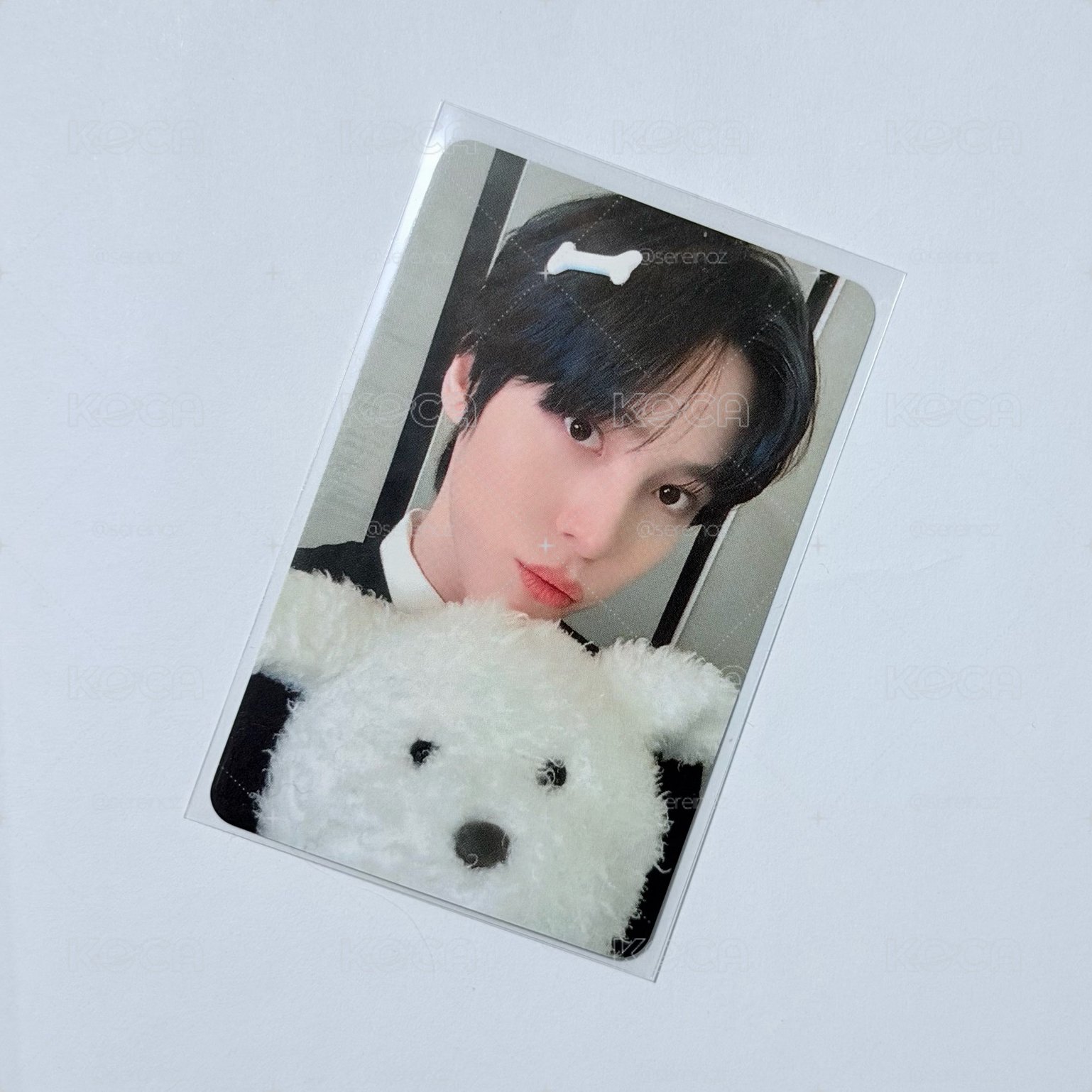 小白狗潤