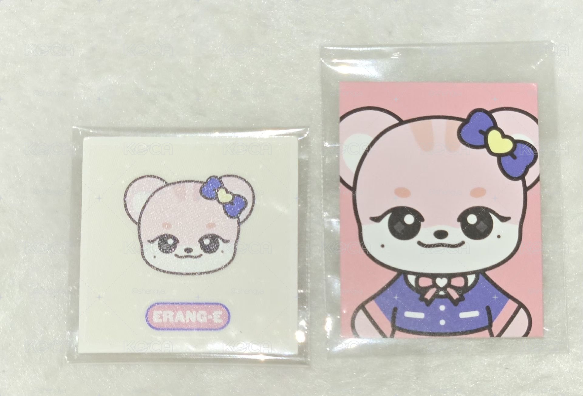 貼紙+證件照