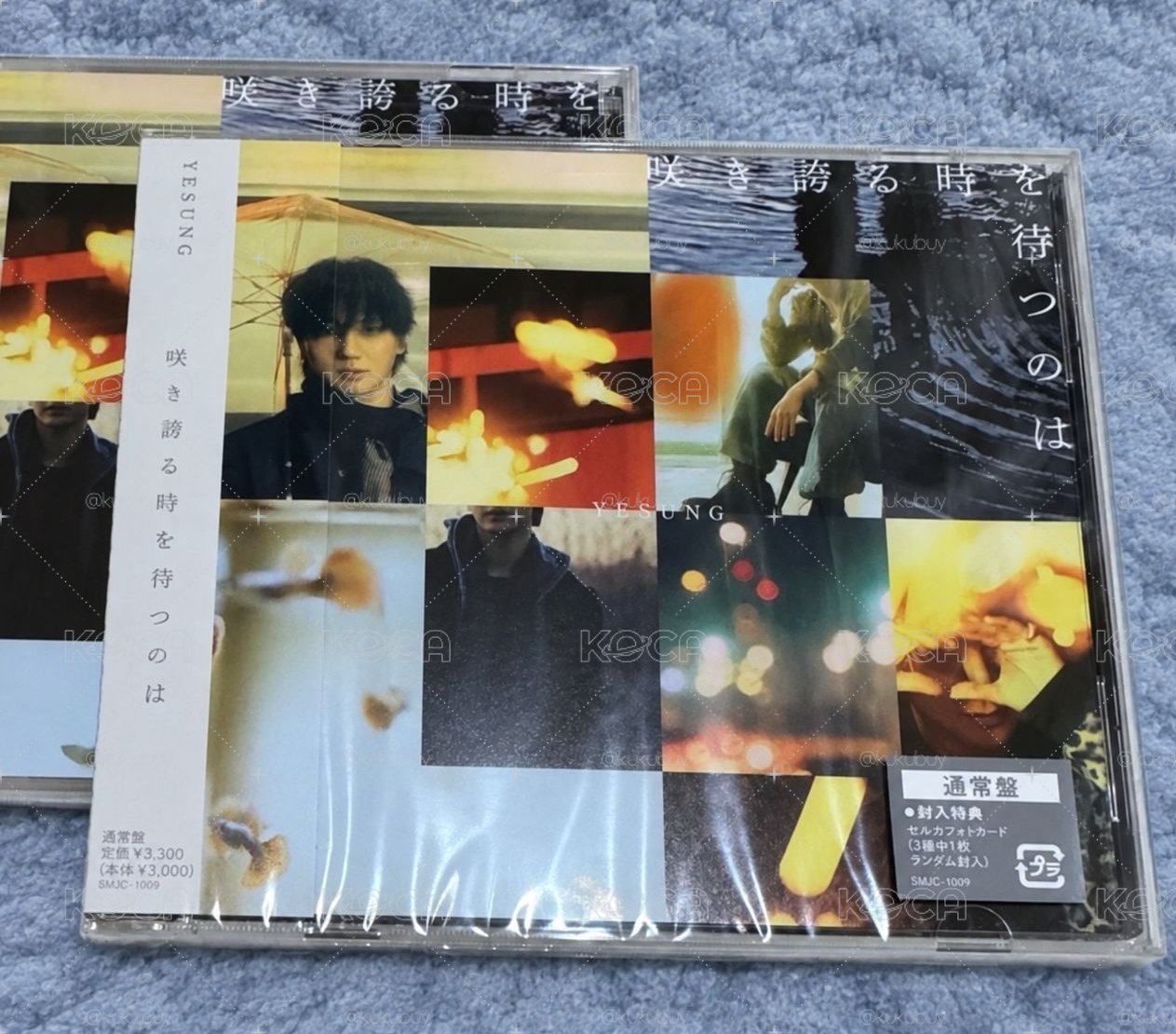 藝聲 日專 通常盤全新未拆附卡