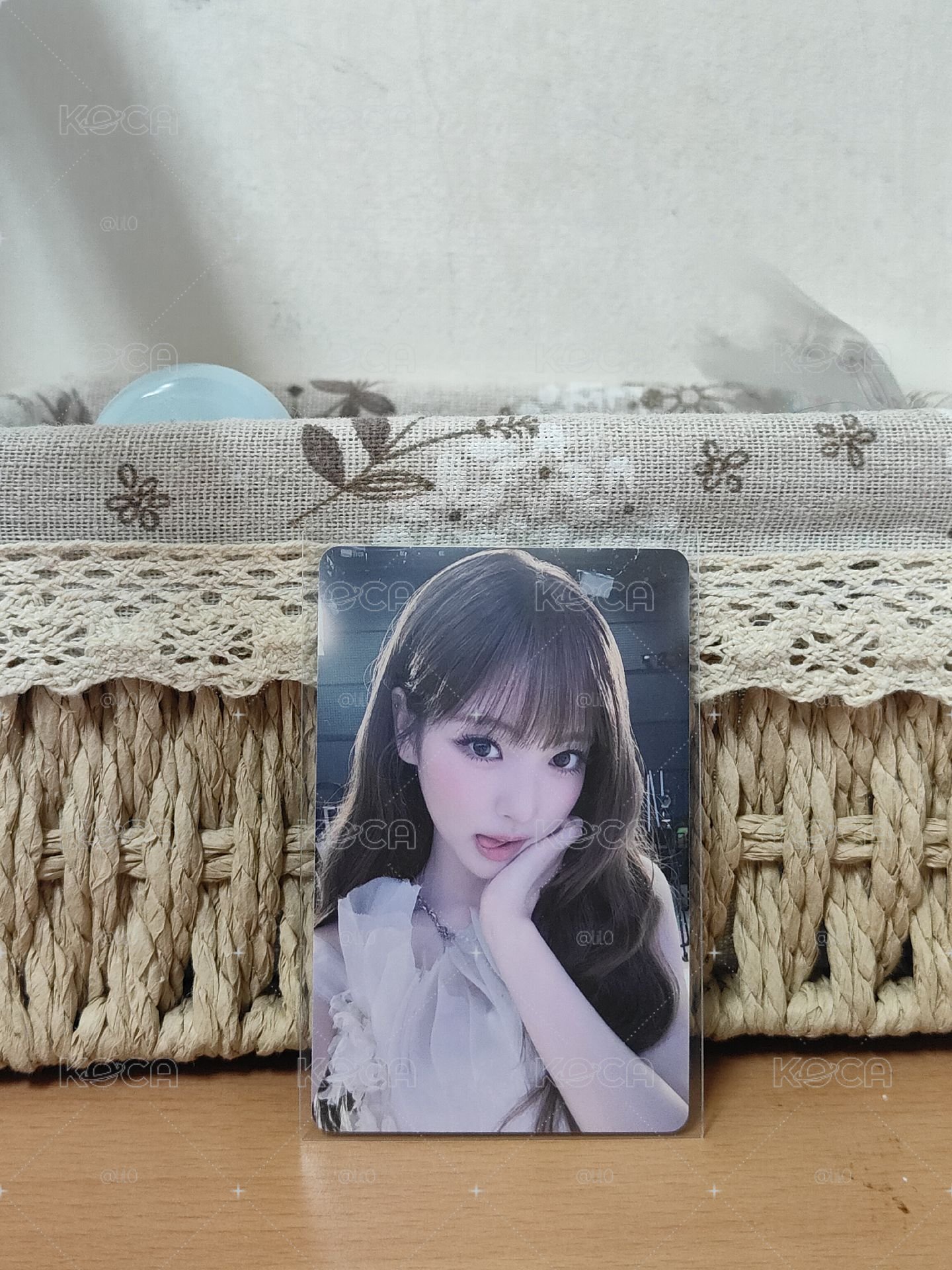 Anna 紫葡萄