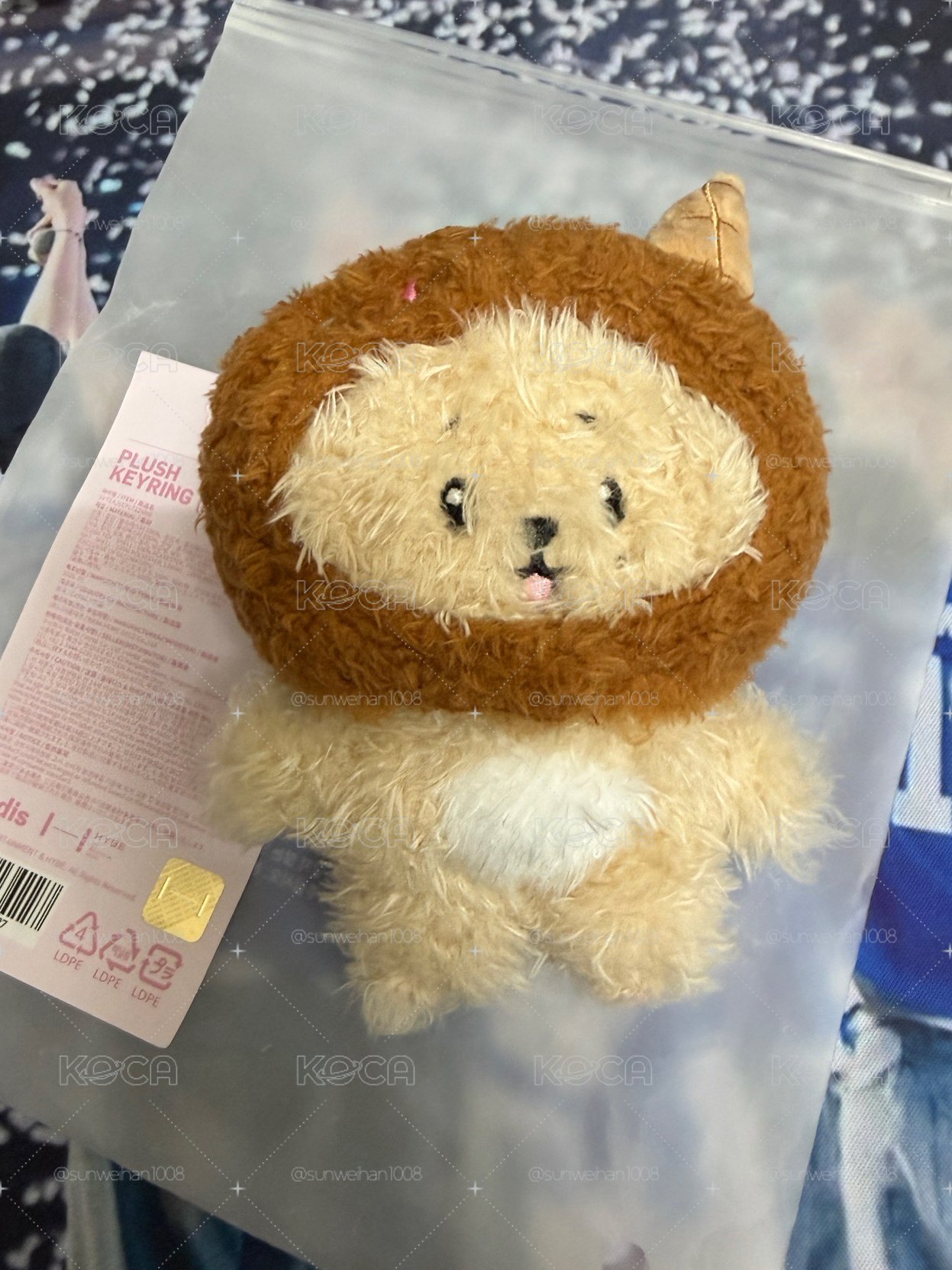 （需多帶）夏日MINITEEN 鑰匙圈吊飾 頭套碩