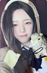 Motto 迷十二 sr 2.0 線上 中背 中簽卡 簽名卡 松鼠