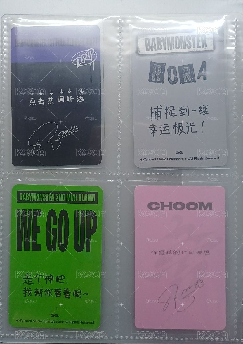 茶仁中背收集存檔