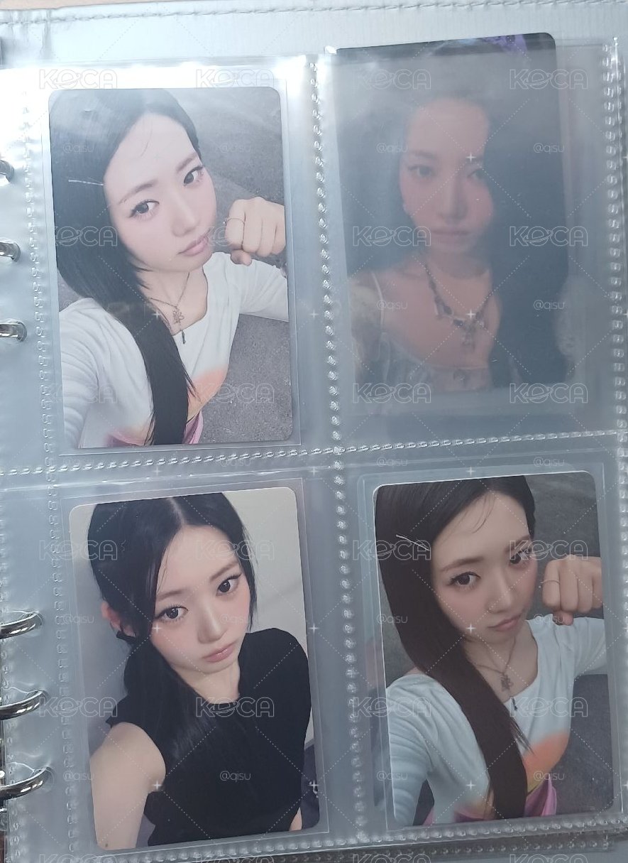 茶仁中背收集存檔