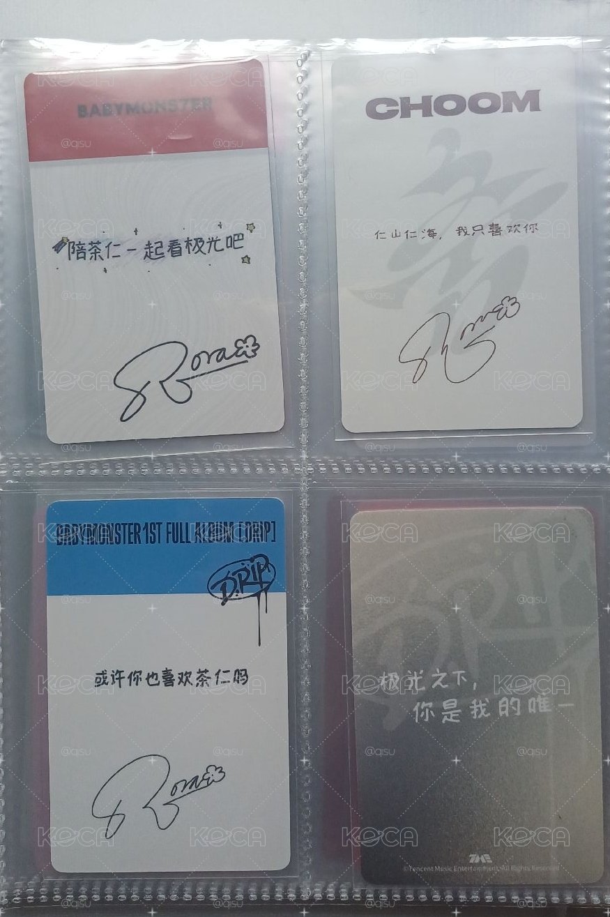 茶仁中背收集存檔