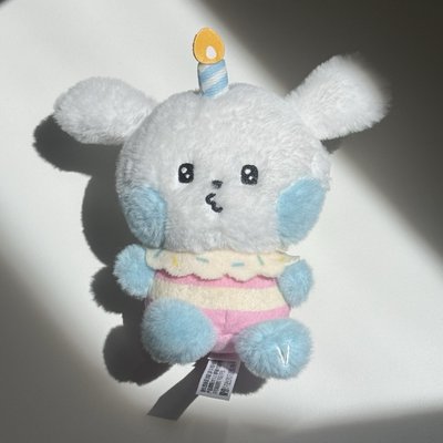 ZB1 奎尼尼 訊息 派對 生日 吊娃