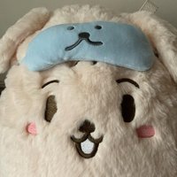 雪鶴(記得按完成訂單哦🍀)