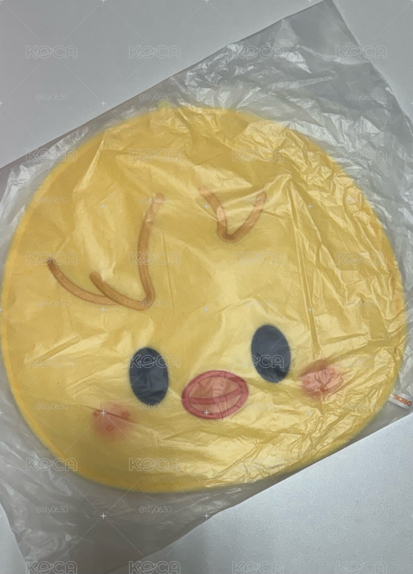 菲大扇+豆豆眼扇套+扇套保護套set
