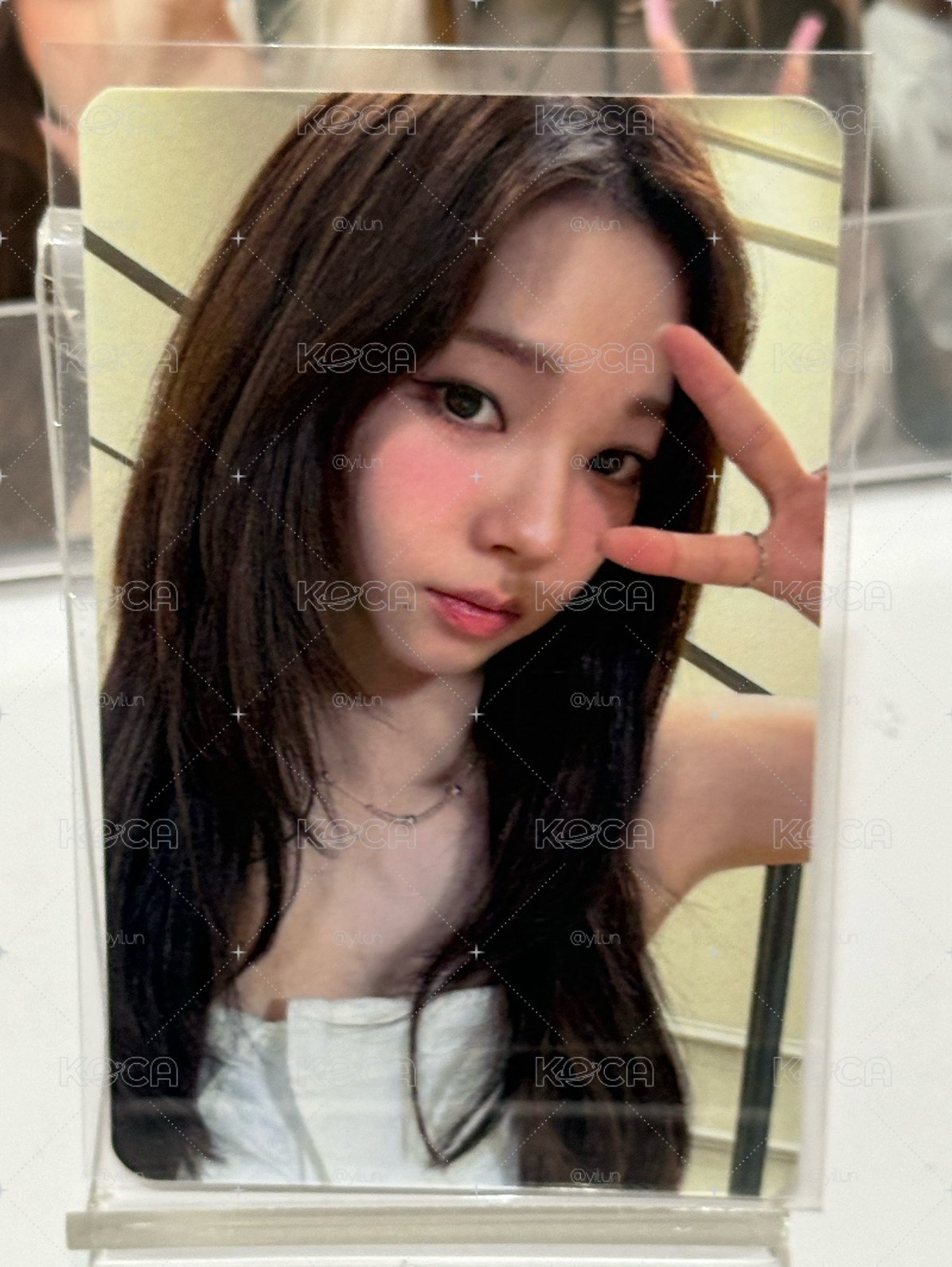 美美柚子