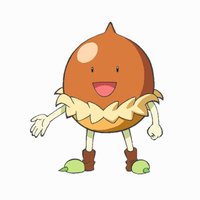橡果