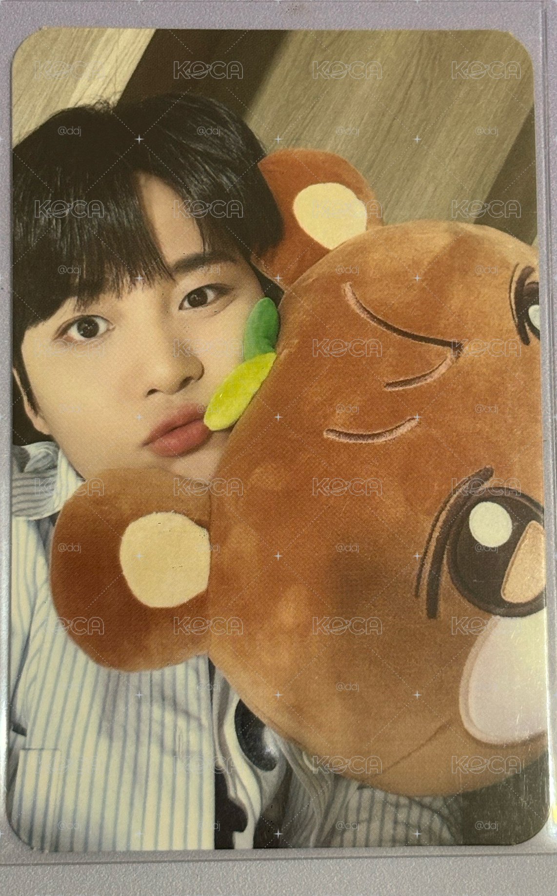 ANITEEZ IN ICE CITY 周邊卡 plush cushion
