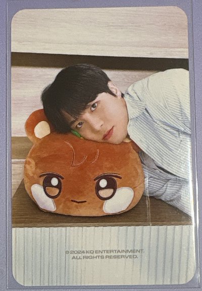 ANITEEZ IN ICE CITY 周邊卡 plush cushion