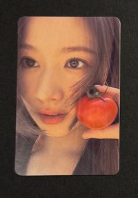 🍅紗