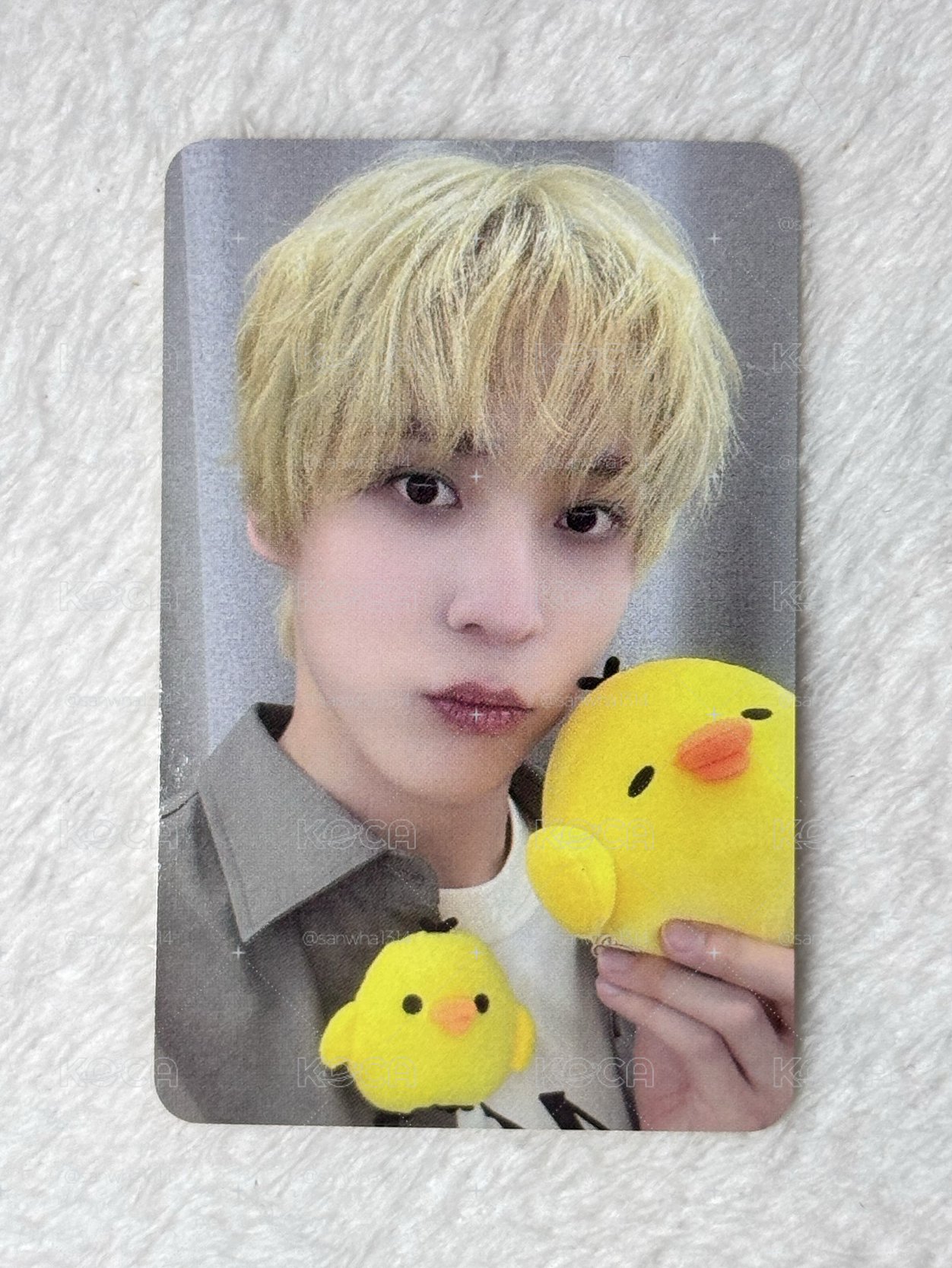 🐶與拉拉熊の🐥