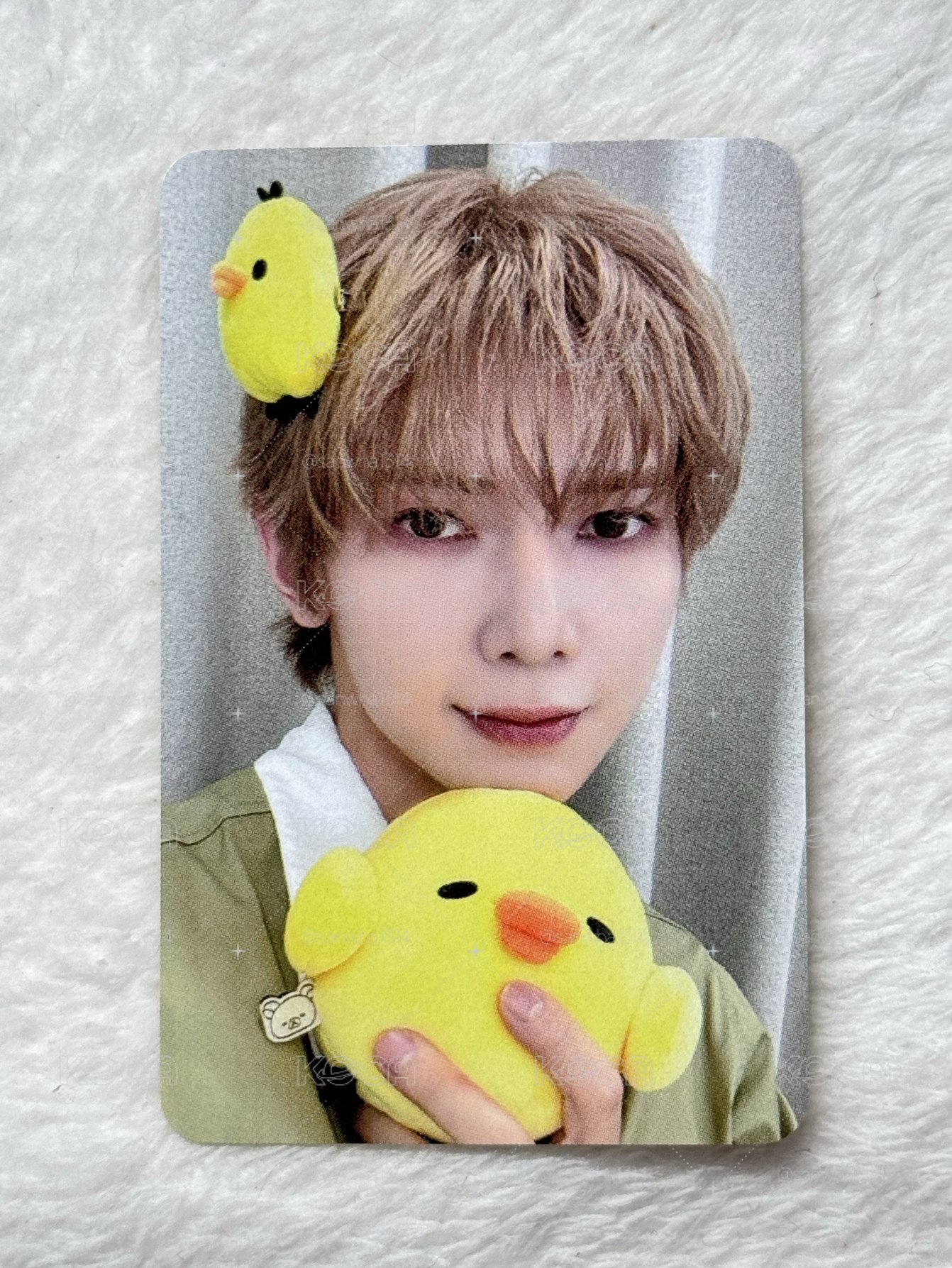 🐩與拉拉熊🐥 