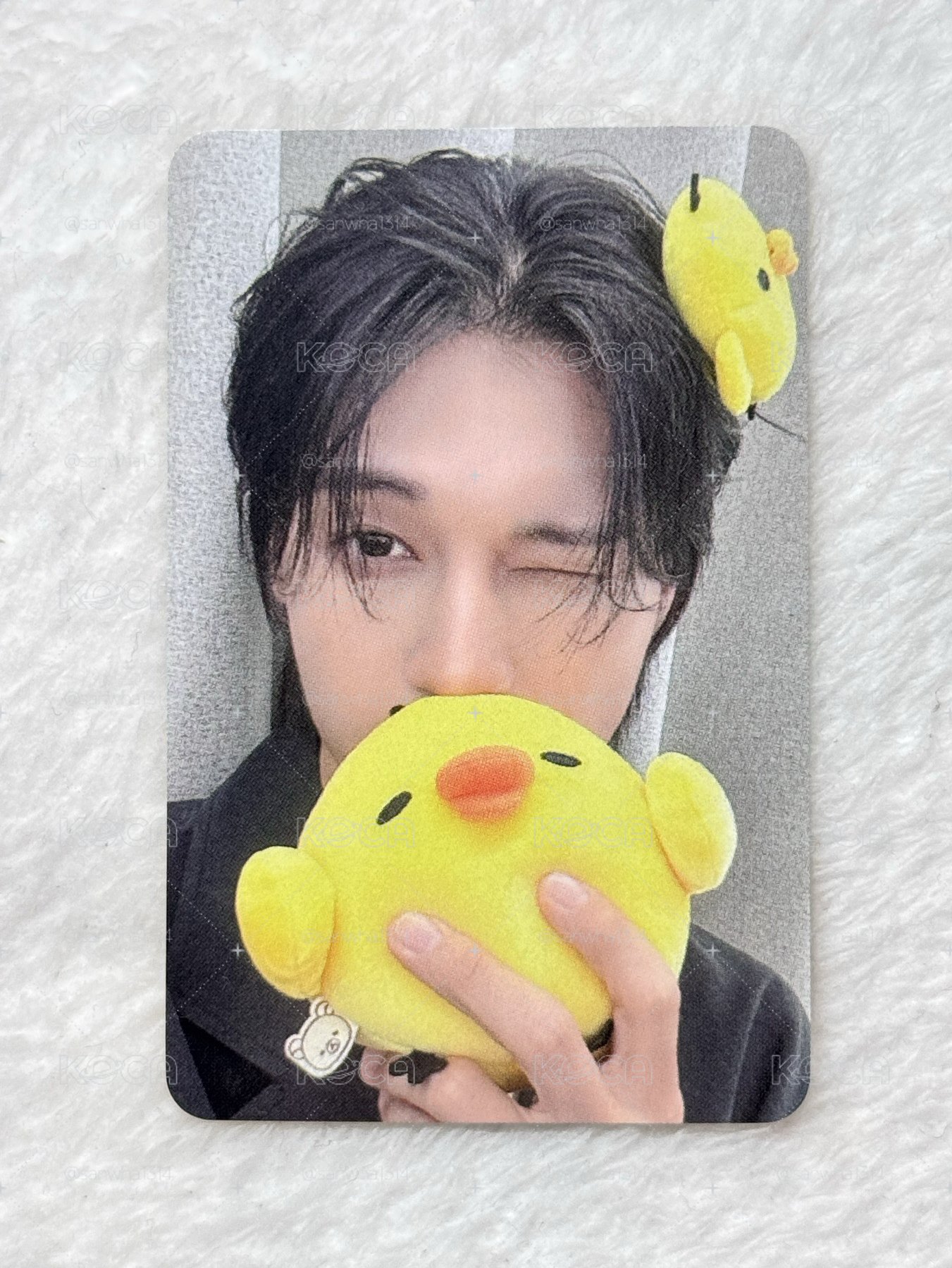 🐈‍⬛與拉拉熊🐥