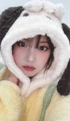在途動物簽卡友