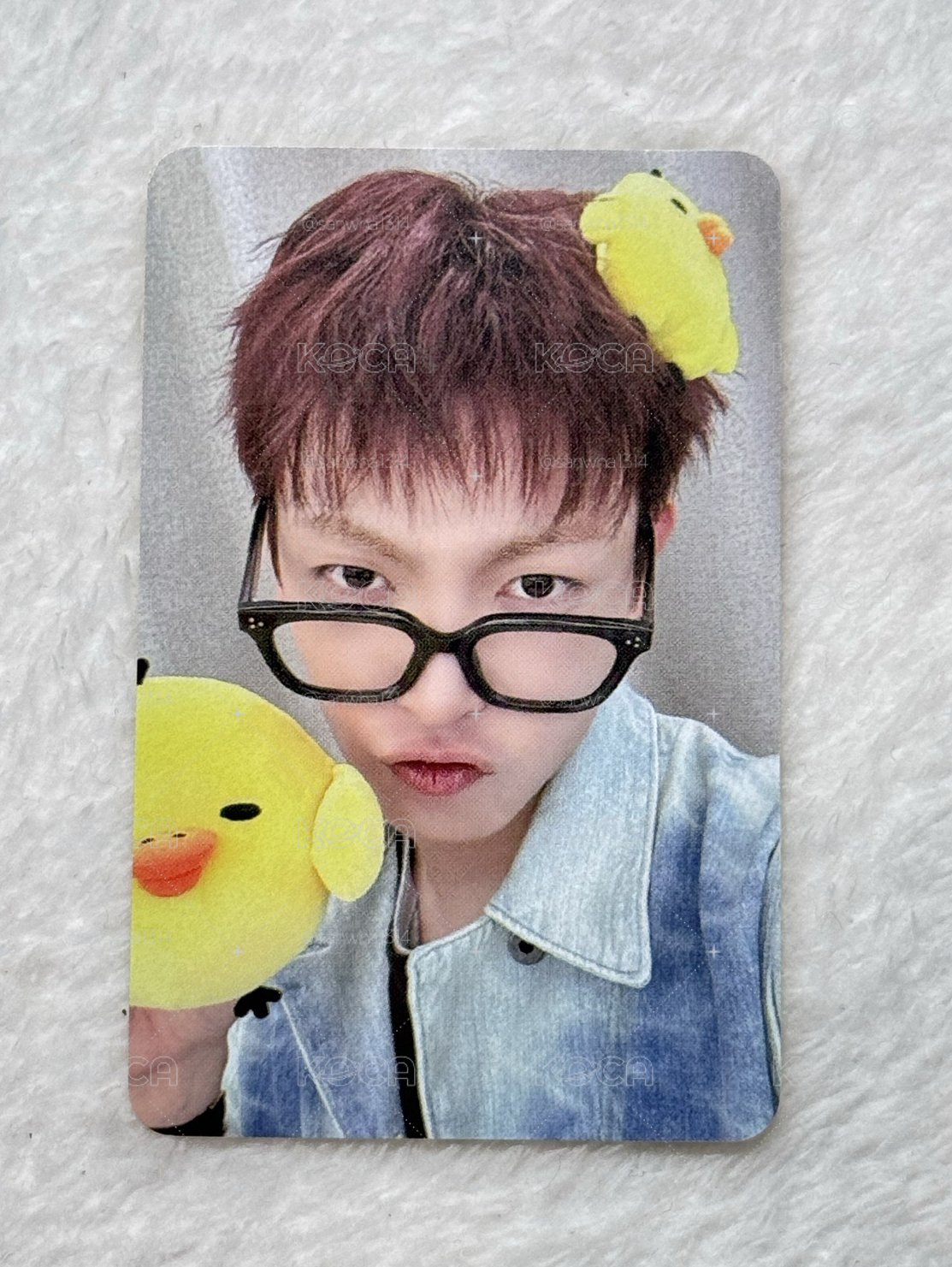 🐿️與拉拉熊🐥