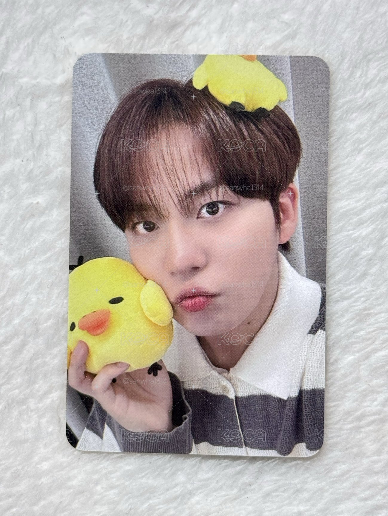 🐻與拉拉熊🐥