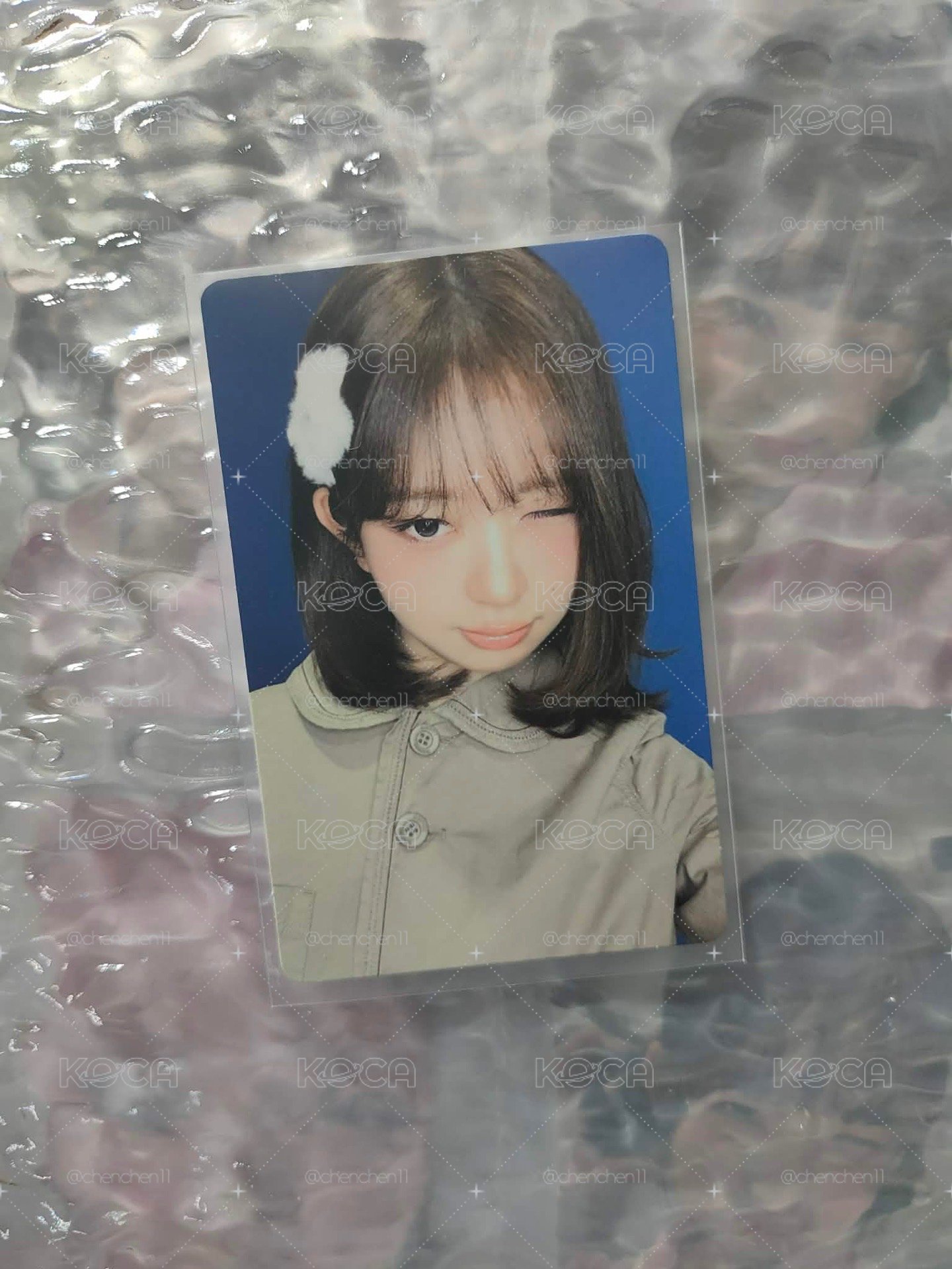 wink怜