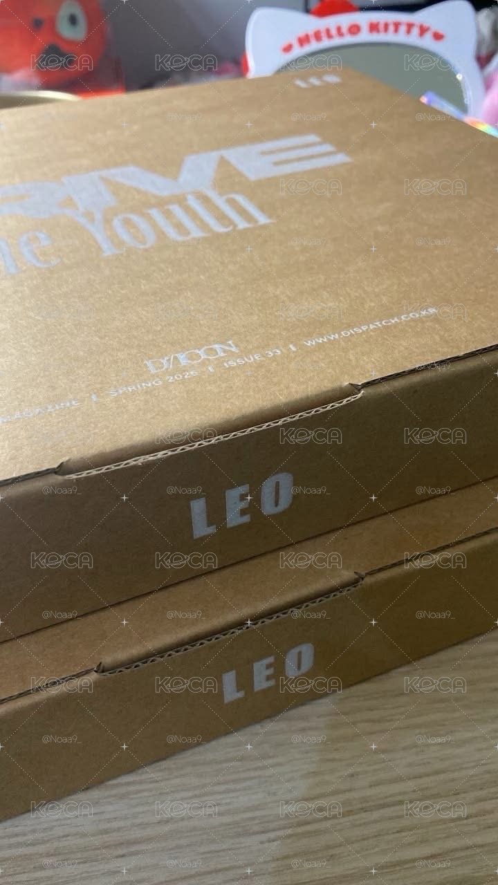 ALD1 DICON雜誌 LEO AB版