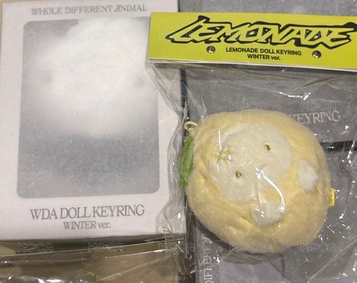 現貨 WDA冬+檸檬冬