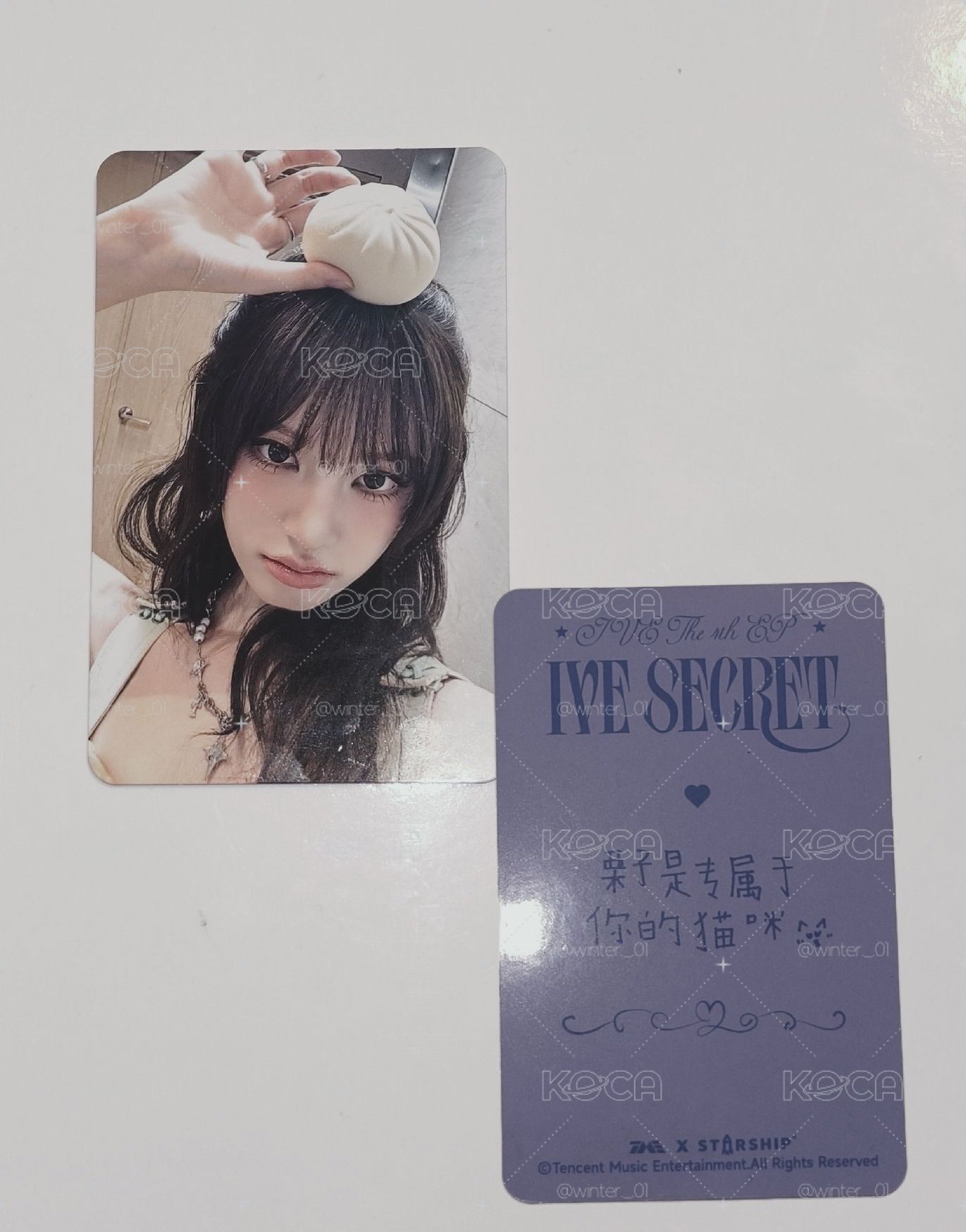專屬小貓(一張)