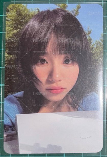 彩瑛迷11 專輯卡 ver.E