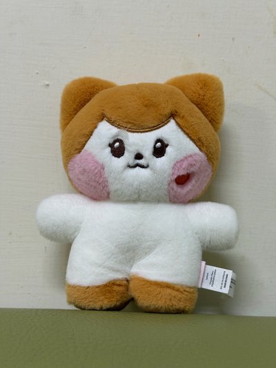 LINE FRIENDS快閃 娃娃玩偶 COSTUMEPLUSH cheezni