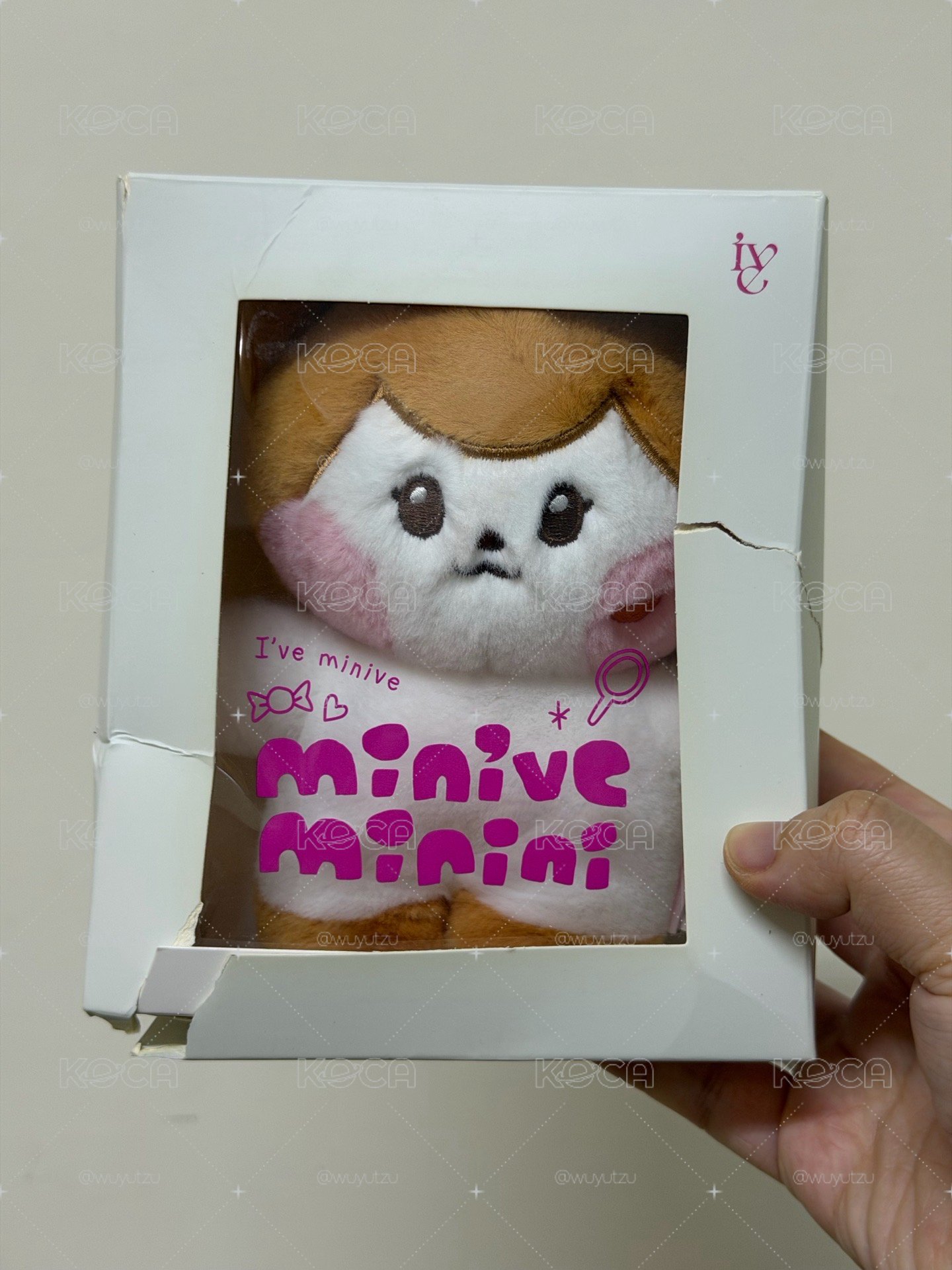 LINE FRIENDS快閃 娃娃玩偶 COSTUMEPLUSH cheezni