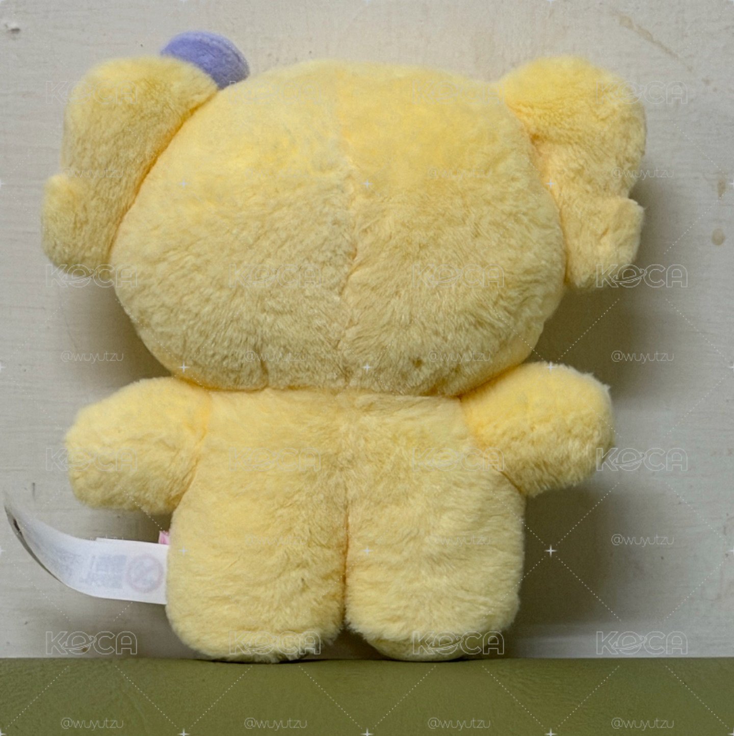 LINE FRIENDS快閃 娃娃玩偶 COSTUME PLUSH narini