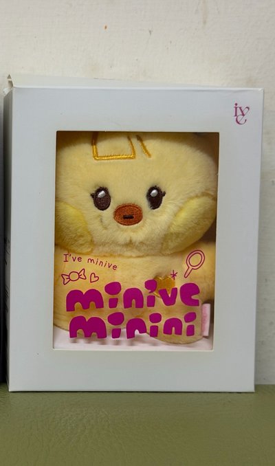 LINE FRIENDS快閃 娃娃玩偶 COSTUME PLUSH narini