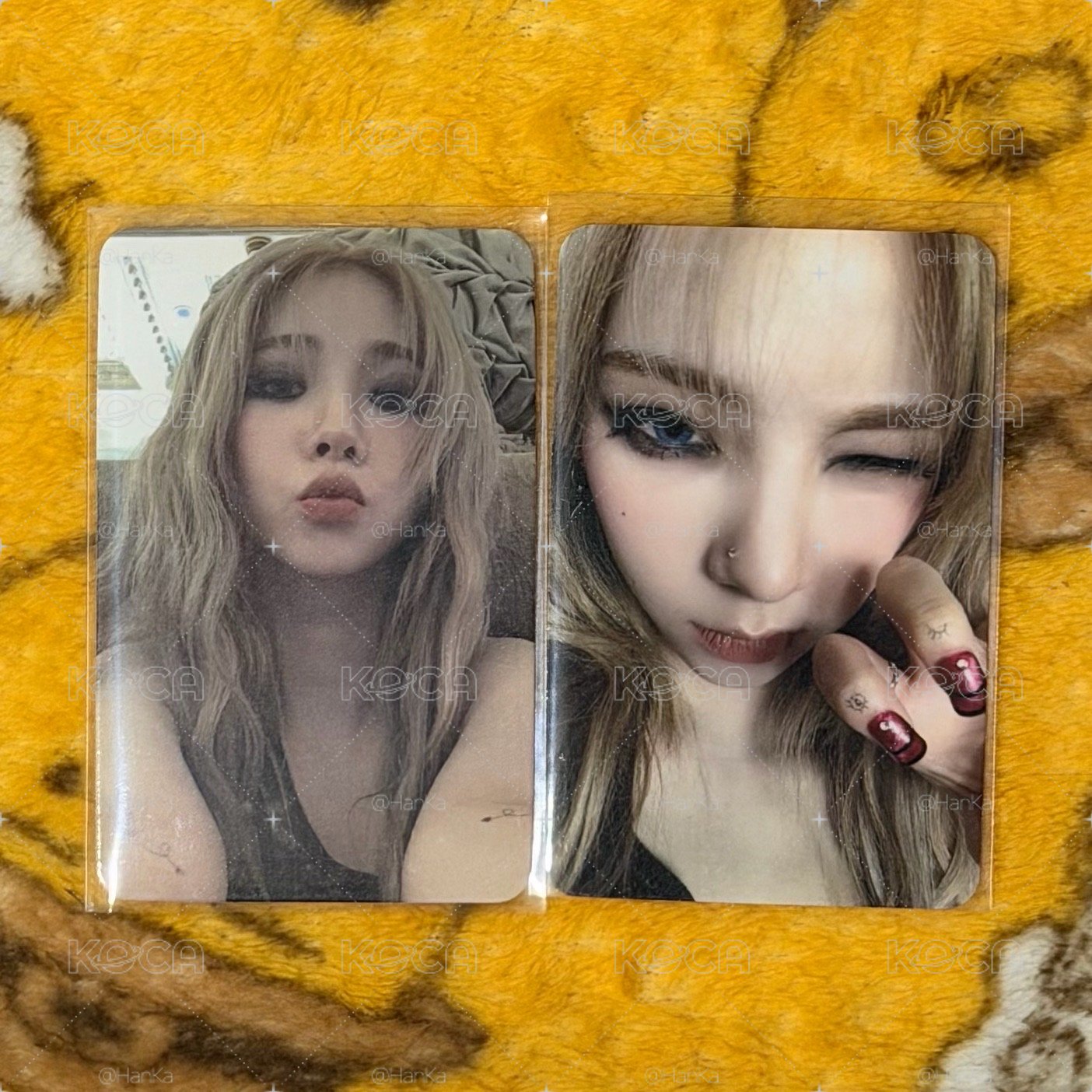 快吧柚柚帶回家吧