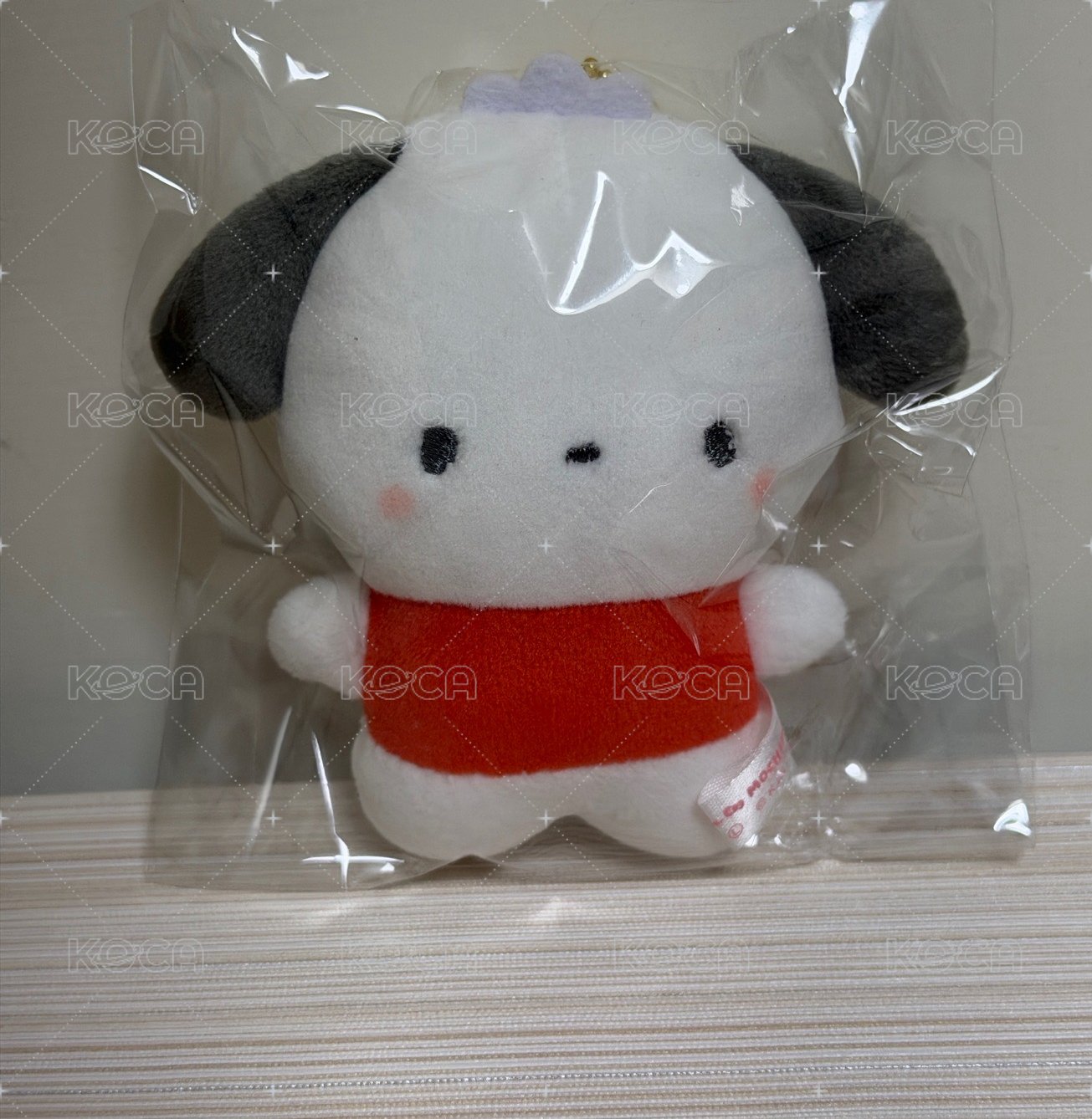 帕恰狗