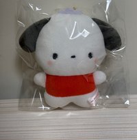 帕恰狗