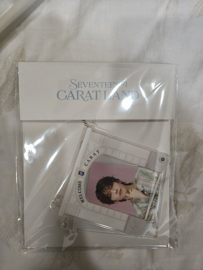 星+他團綁物(svt)