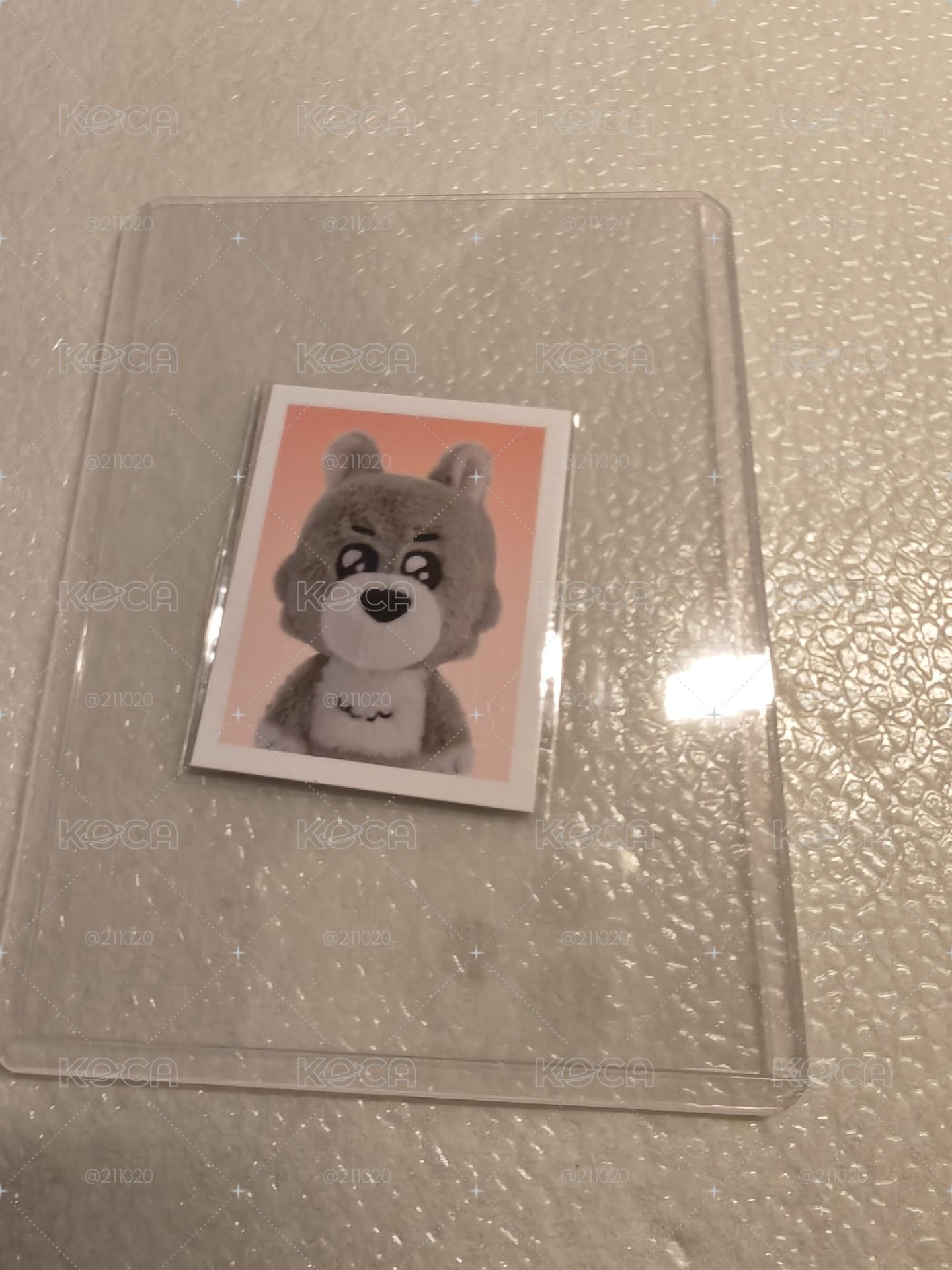 明明證件照