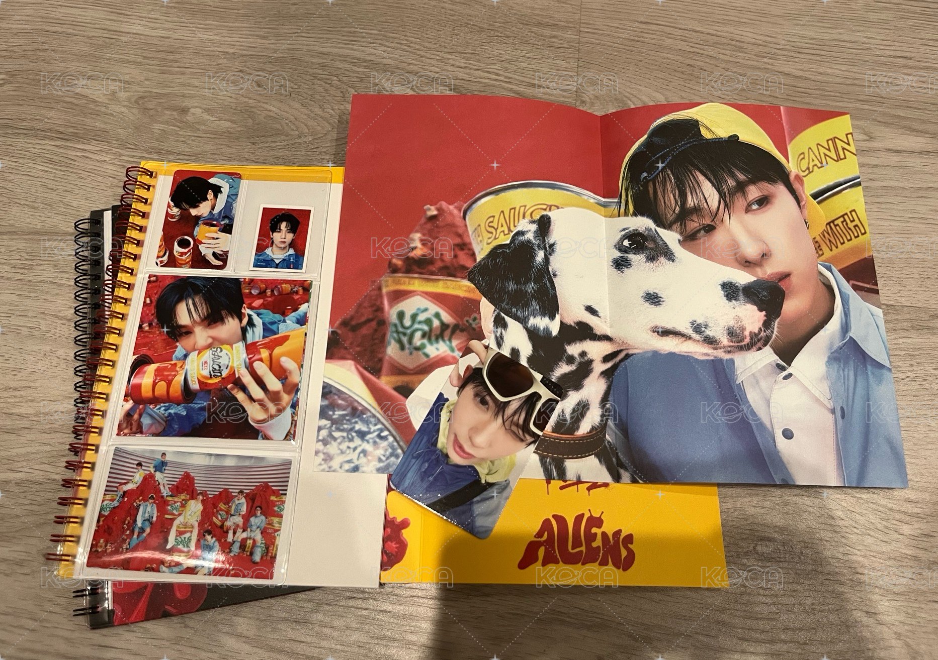 黃版🐾配置➕🦦小卡➕🐿️海報