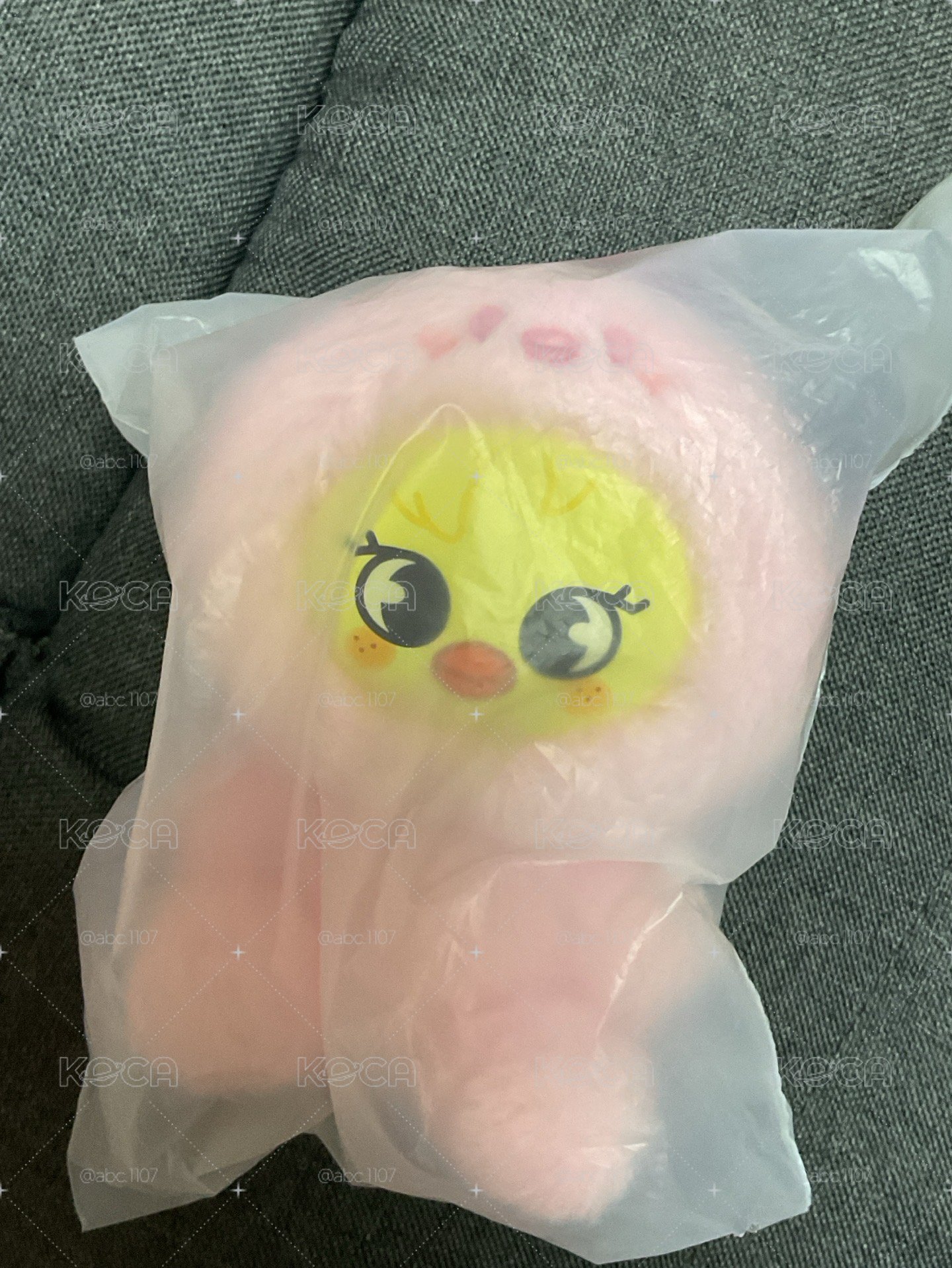 菲娃