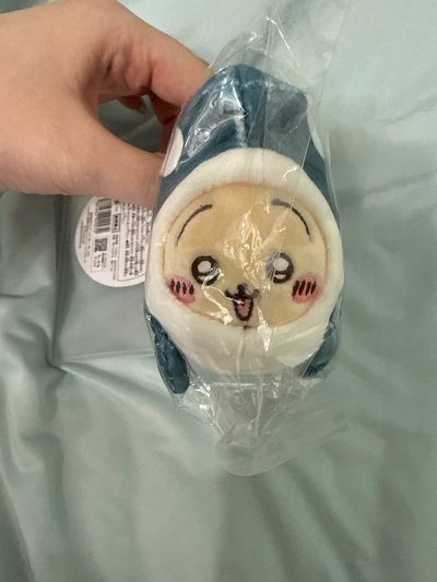 虎鯨兔兔