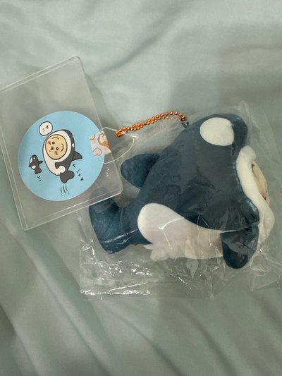 虎鯨兔兔