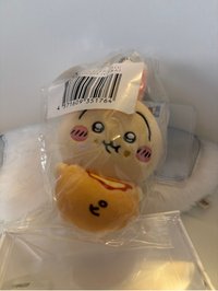 披薩包
