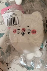 貓耳海豹