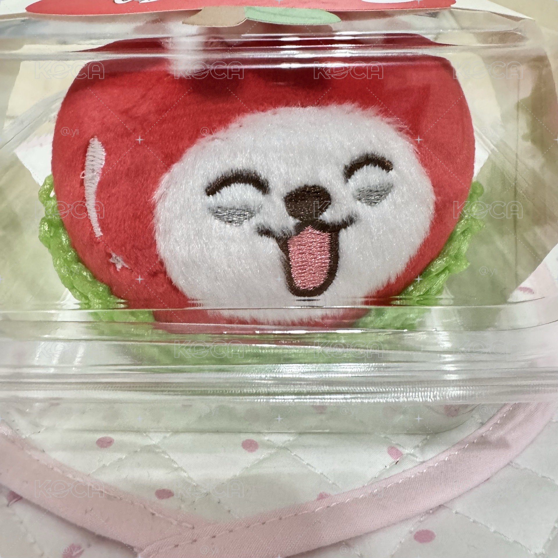 ･⋆⑅ 𝐭𝐱𝐭 ⑅⋆･  𝒔𝒐𝒐𝒃𝒊𝒏
