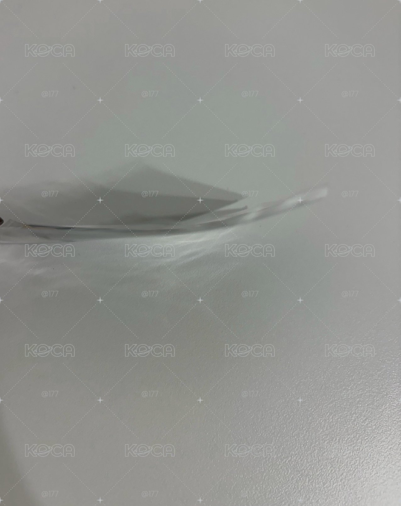 小狗條潤卡