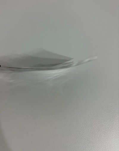 小狗條潤卡