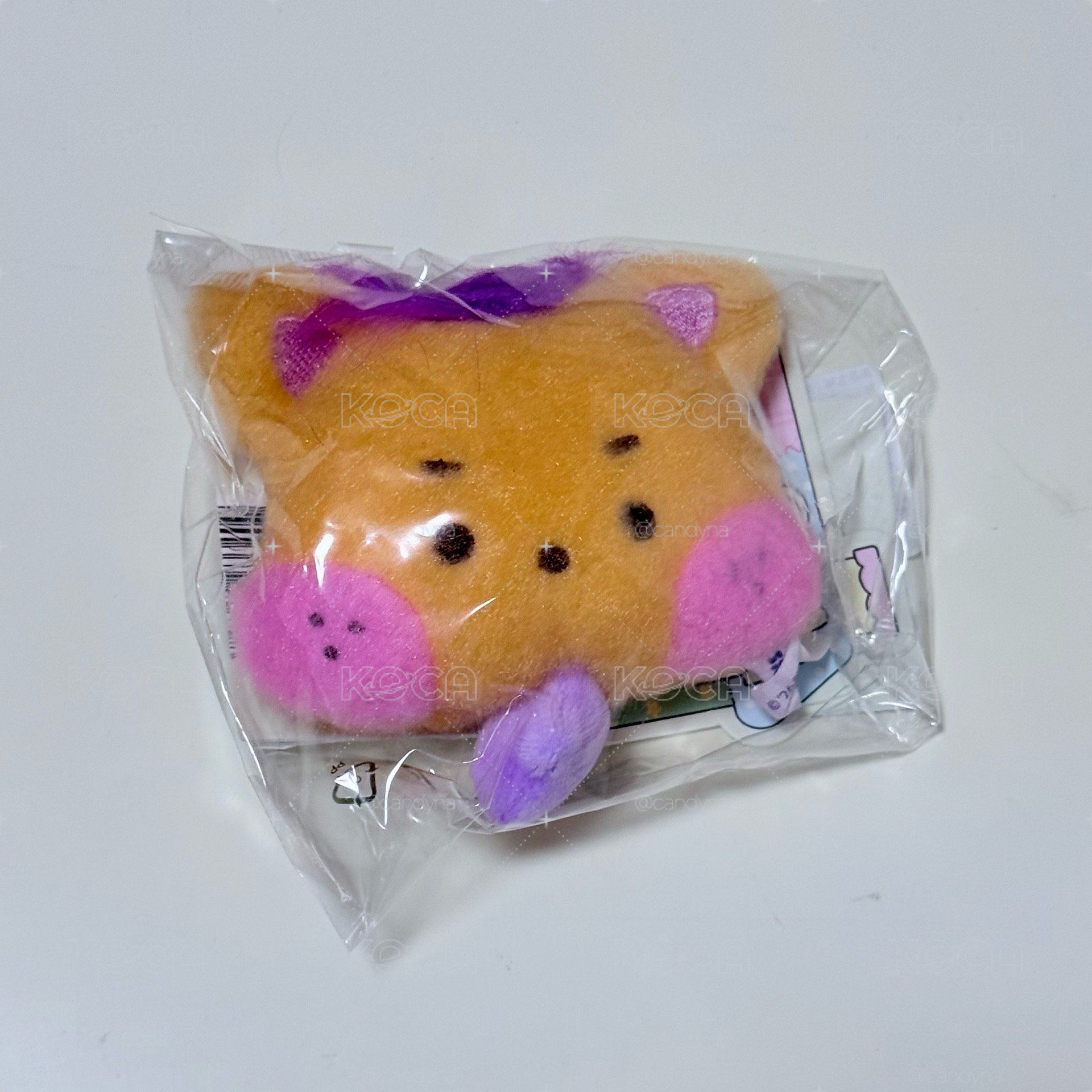 SION各種娃