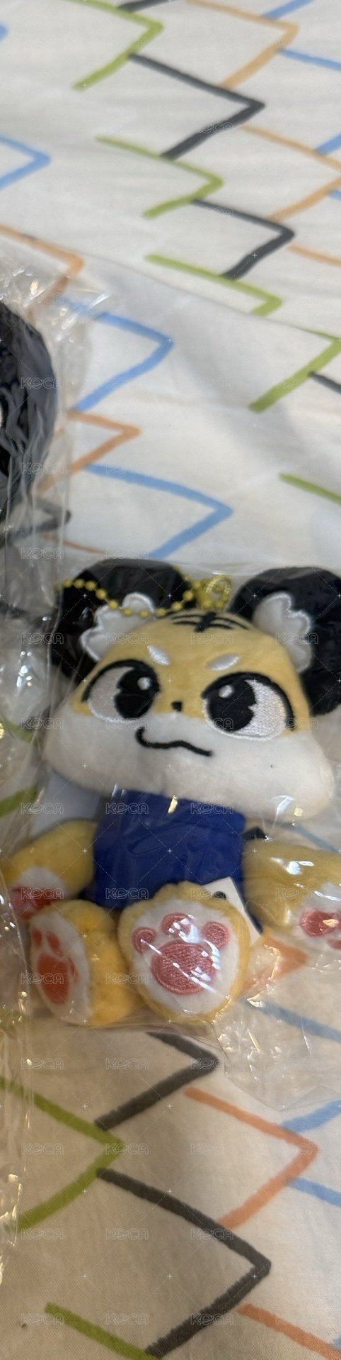 小老虎+澈組合