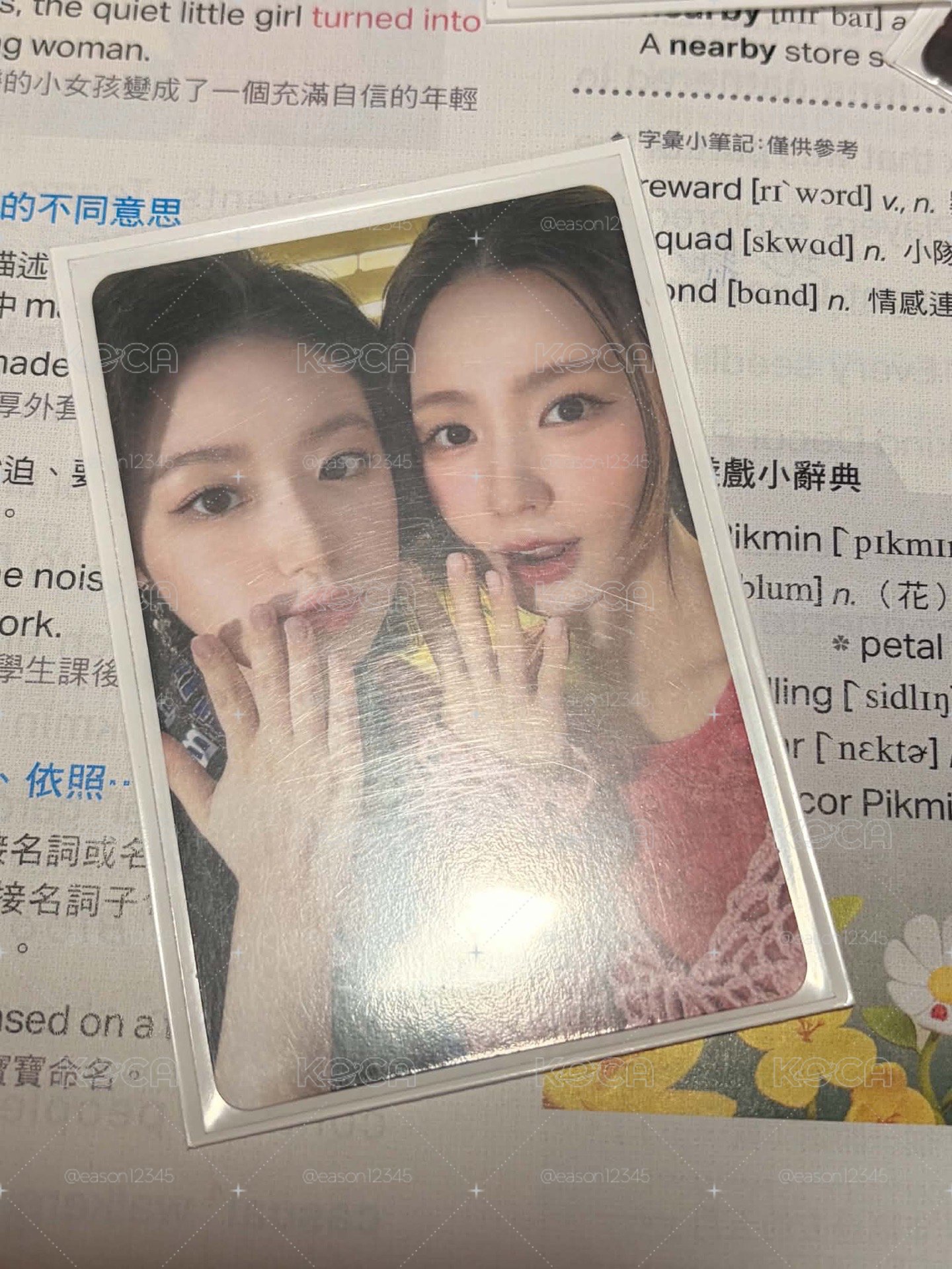 樹莓